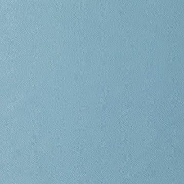 Baby Blue Garment Nappa Leather