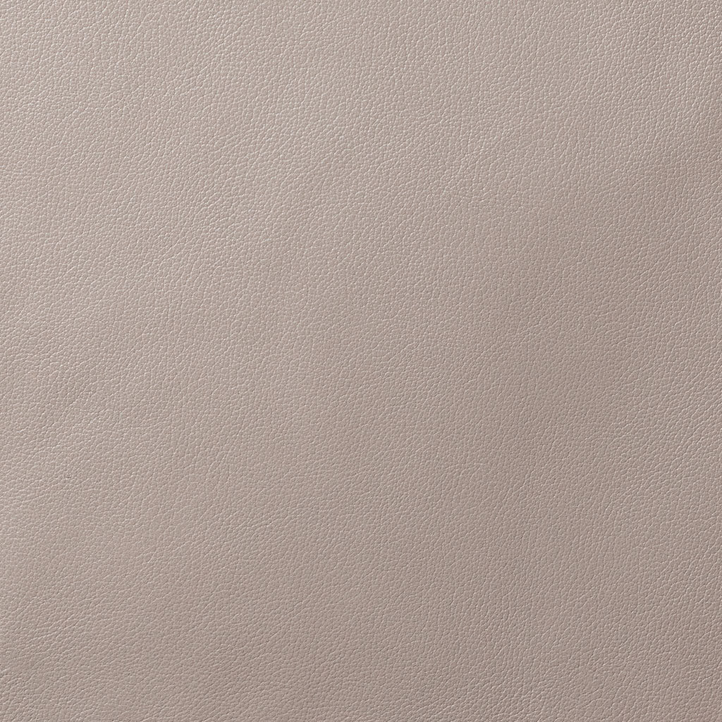 Taupe Lexus Motorcycle Leather