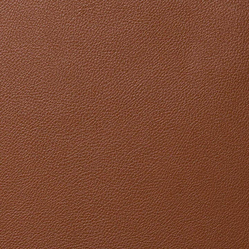 Tan Motorcycle Leather