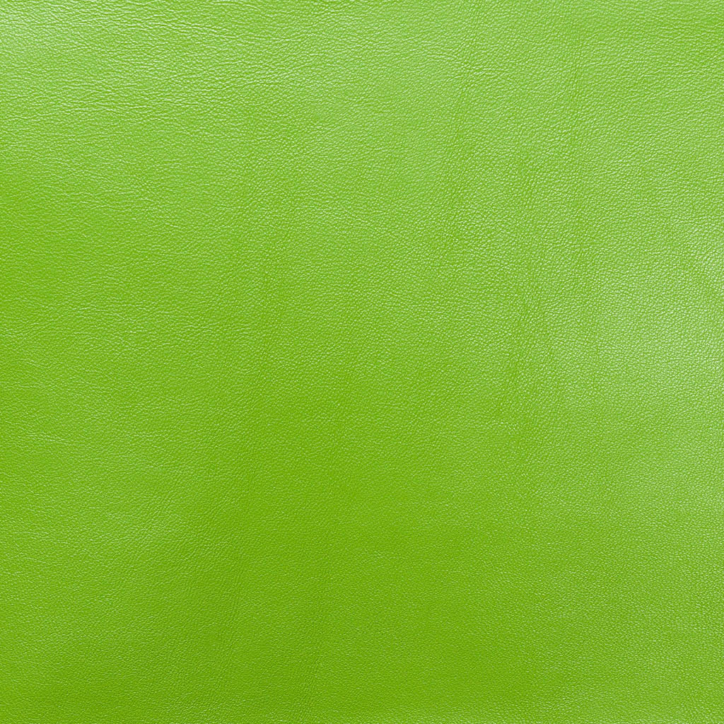 Light Green Lamb Nappa Leather