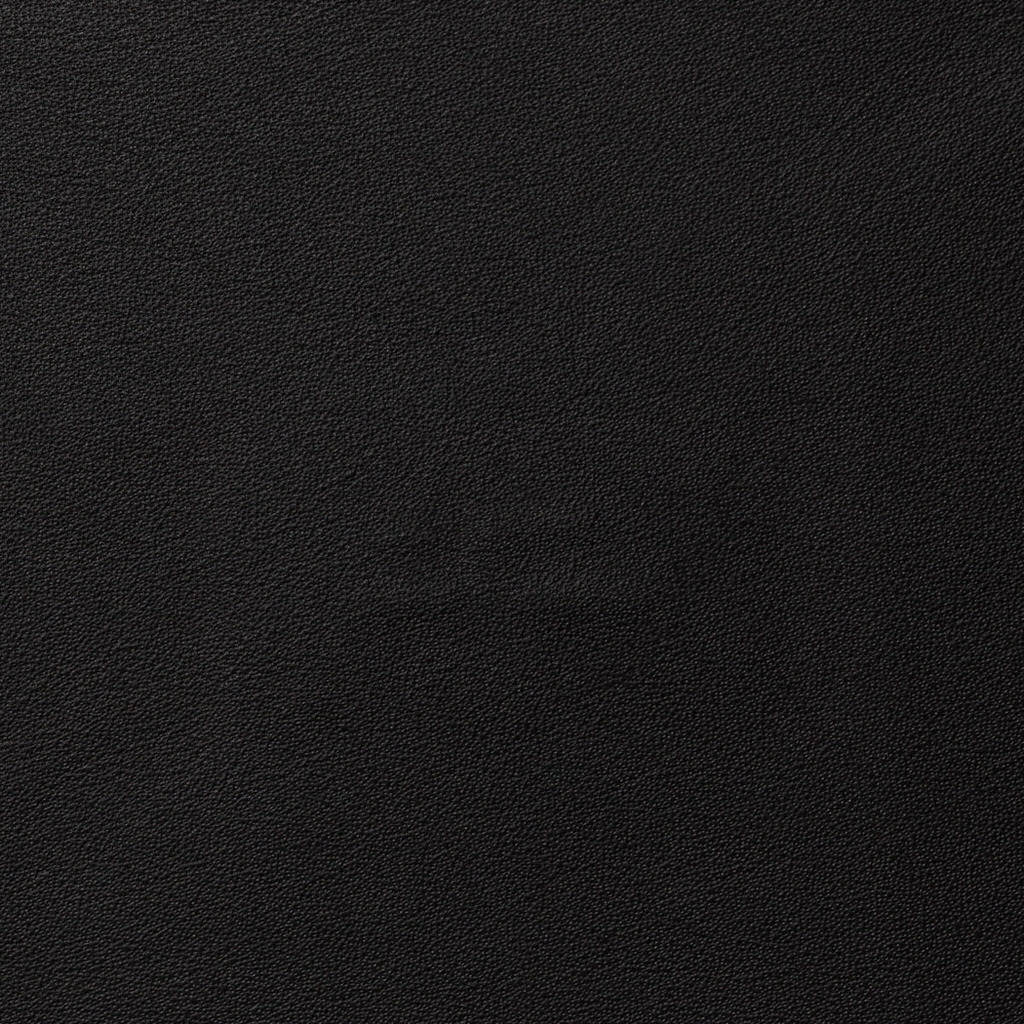 Black Nappa Garment Leather
