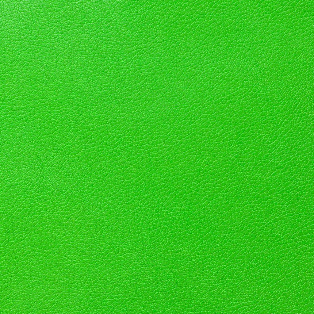 Kawasaki Green Motorcycle Leather
