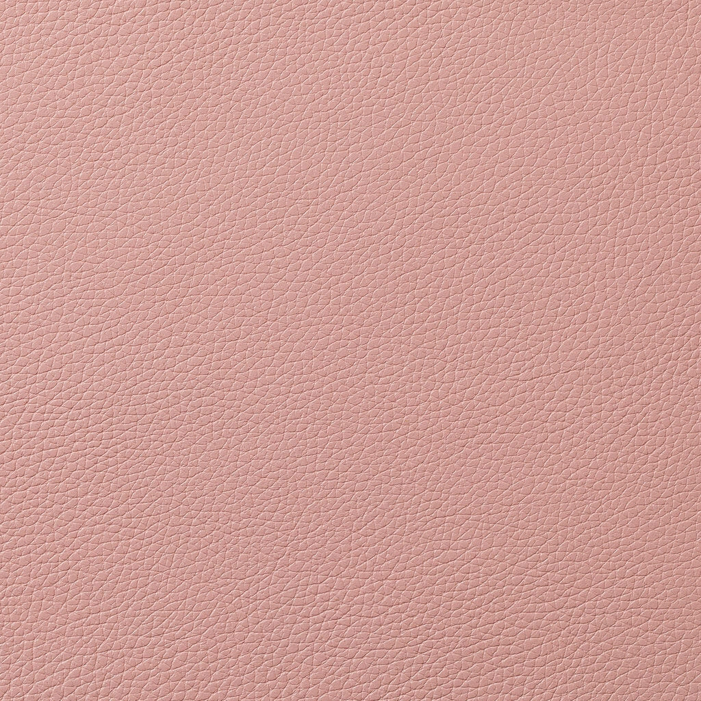 Pink Relax Leather