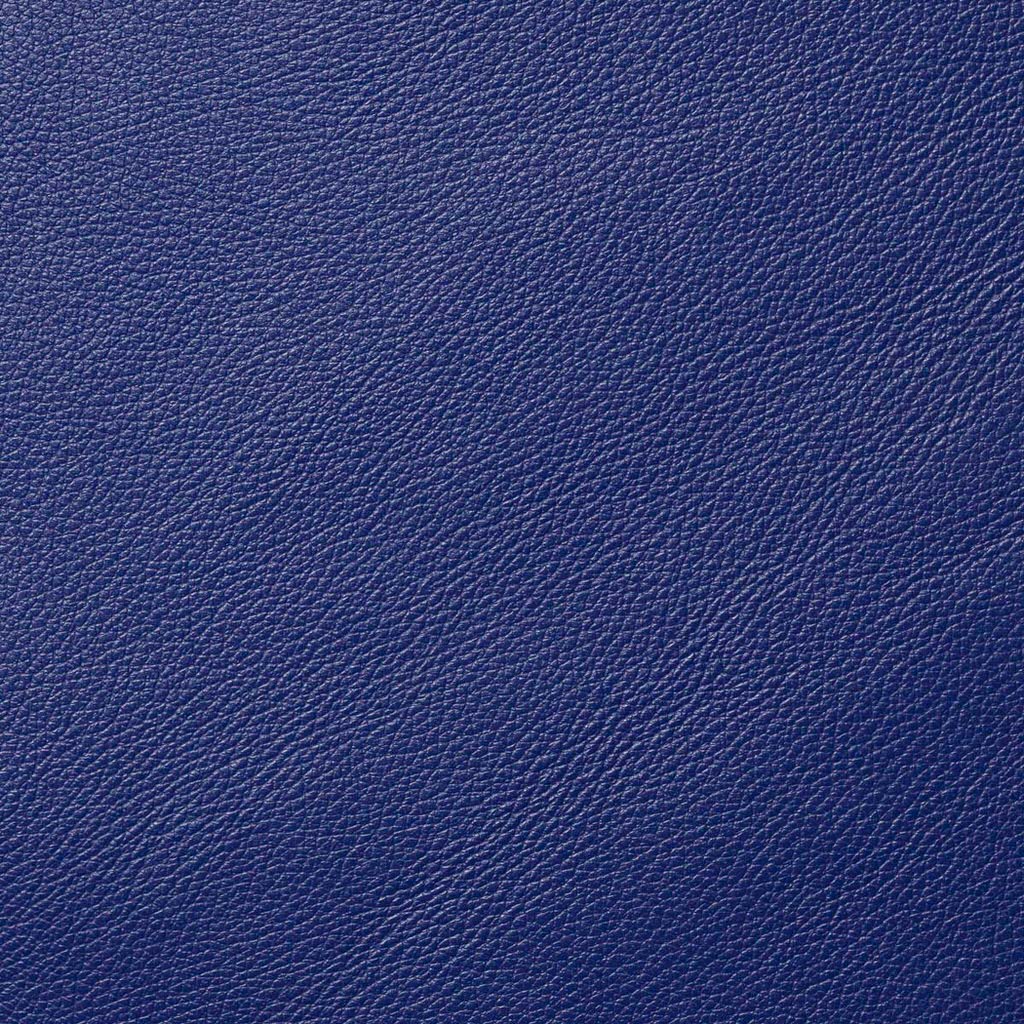 Royal Blue Motorcycle Leather
