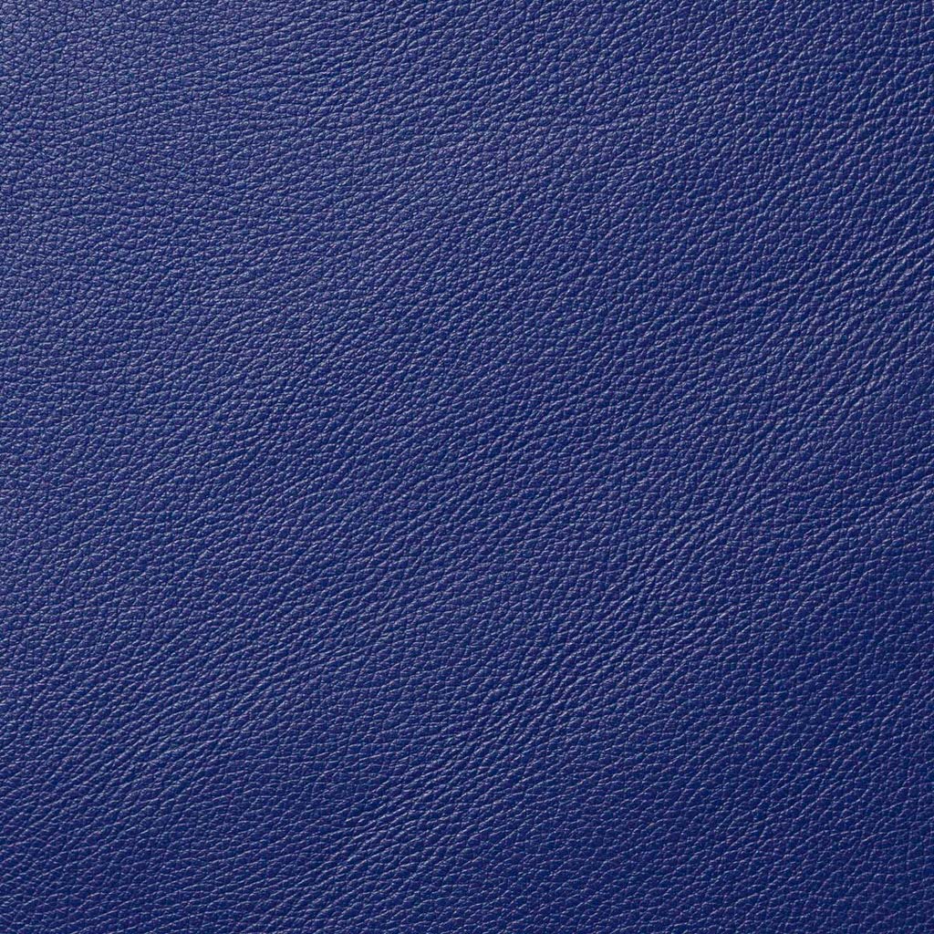 Royal Blue Motorcycle Leather