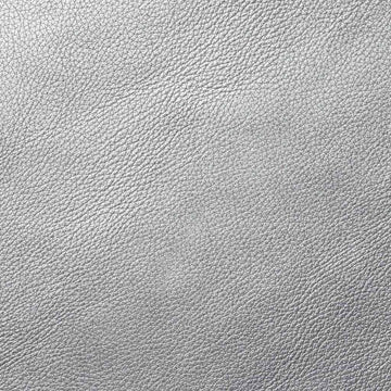 Silver Motorcycle Leather
