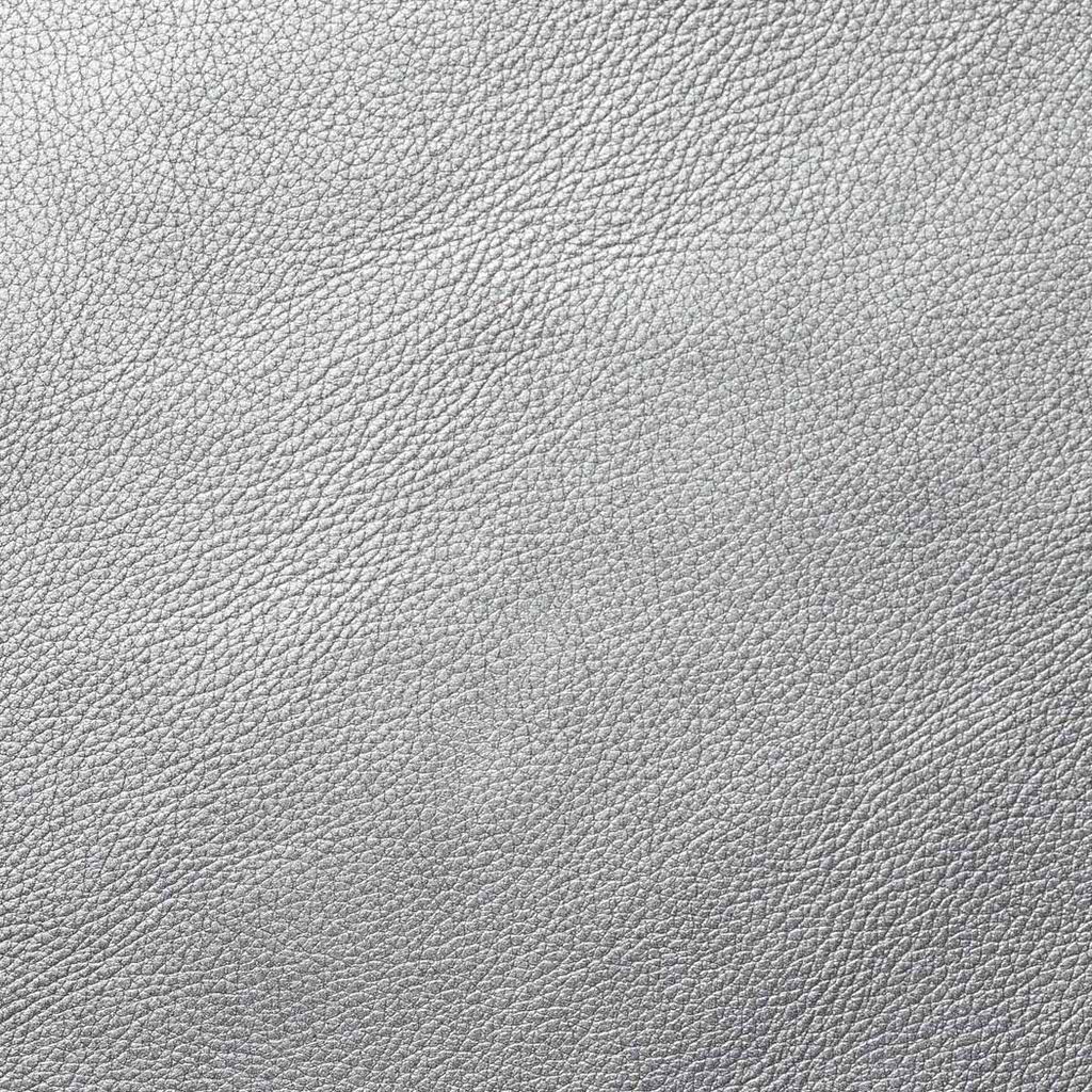 Silver Motorcycle Leather