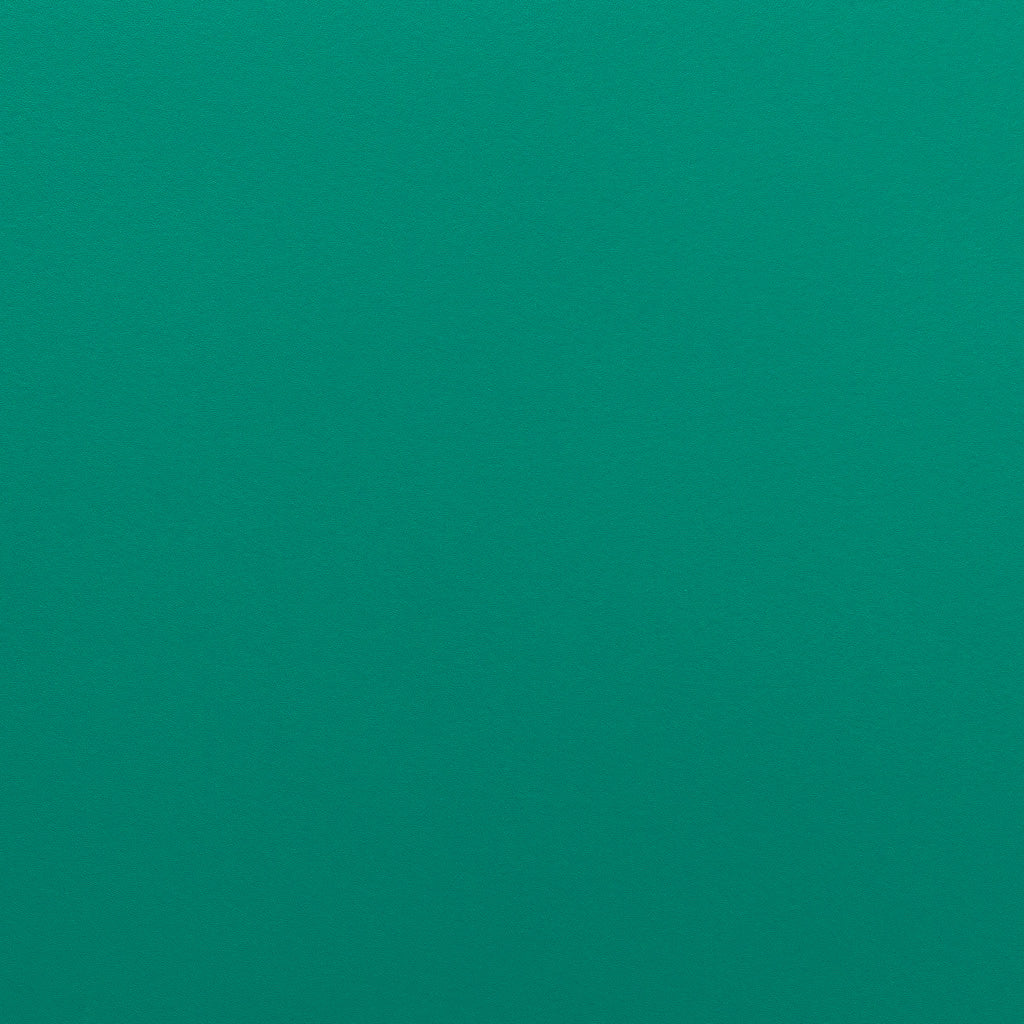 Turquoise Belting Leather